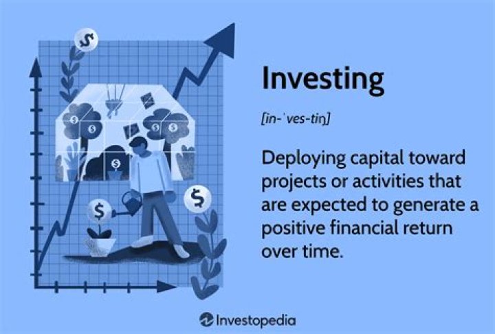 What you mean by investment?
