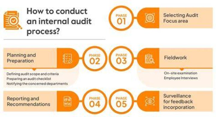 When did internal auditing start?