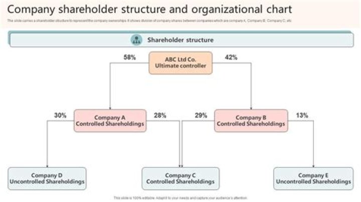 When one company holds 51% shares of other company then what is that company called?