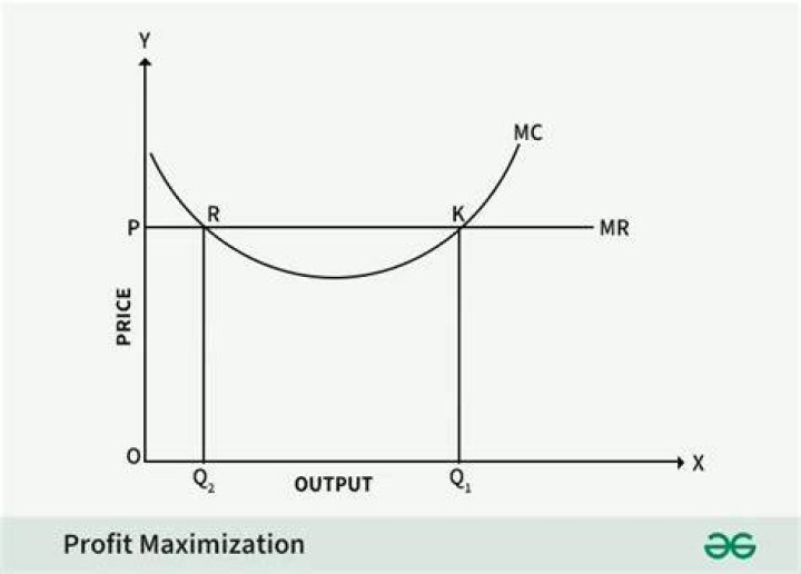 When the profit-maximizing output is reached?