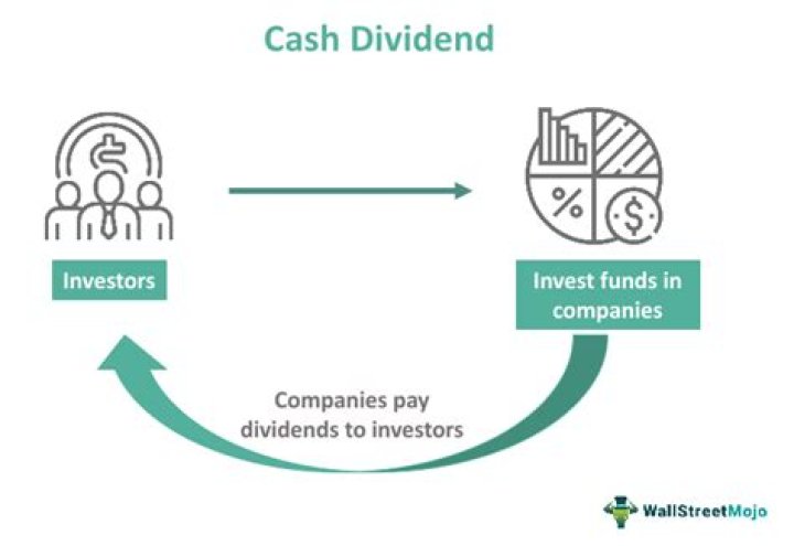 Where are cash dividends reported?