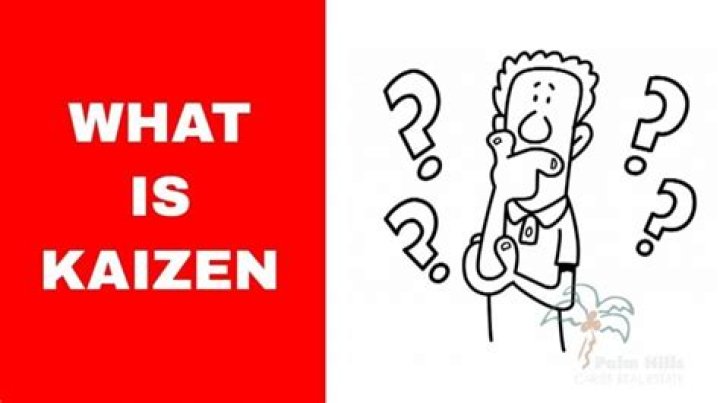 Where did Kaizen come from?