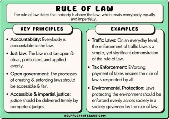 Where did the American ideas of law come from?