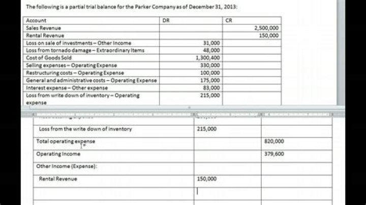 Where do extraordinary items go on the income statement?