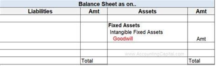 Where is goodwill shown in balance sheet?