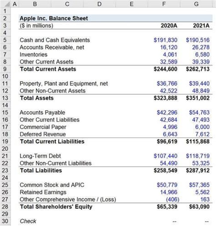 Where is service revenue on a balance sheet?