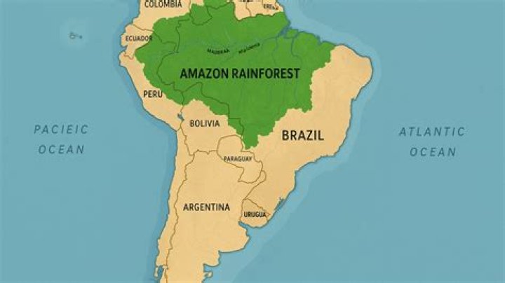 Where is the Amazon rainforest located in the world?