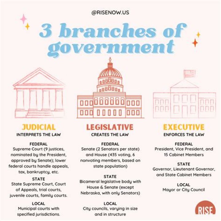 Which branch of government determines the constitutionality of the law?