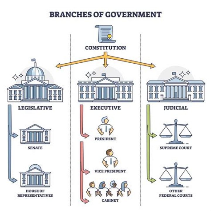 Which branch of government does the government belong to?