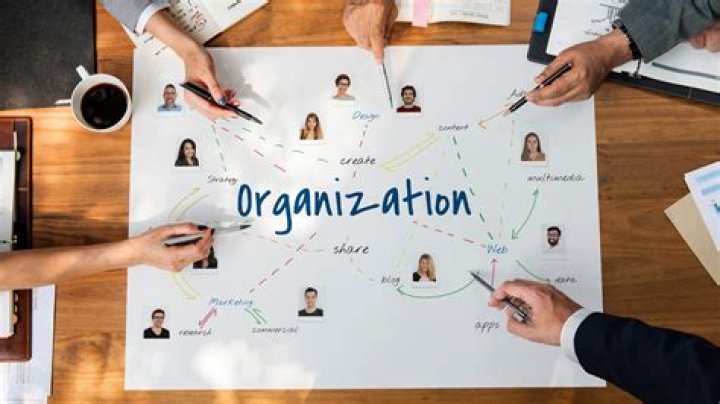 Which business organization is the least common business organization?