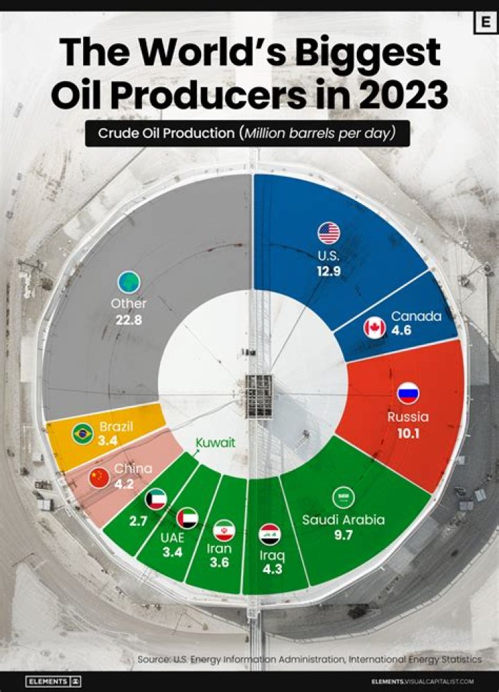 Which country produces the most software?