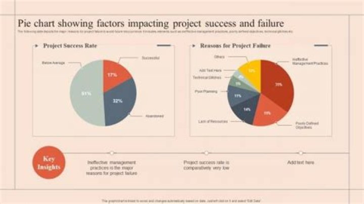 Which factors promote failure and success of IT projects?
