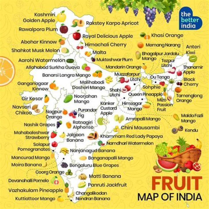 Which fruit does India import most?
