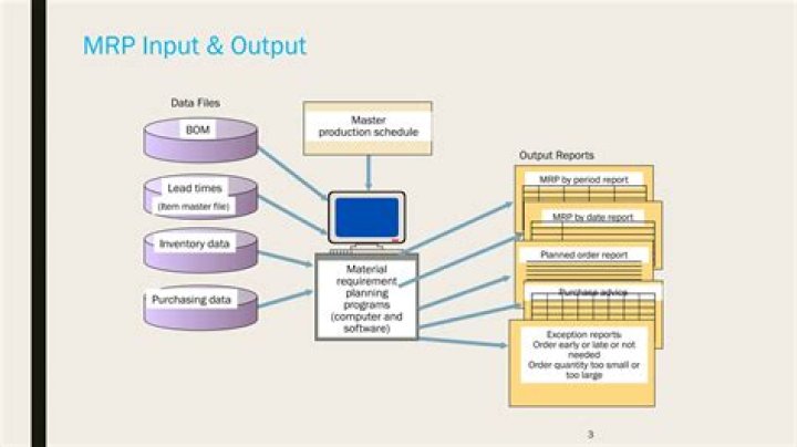 Which is the following input data are needed for MRP?