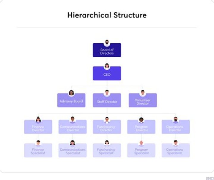 Which is the most common type of Organisational chart?