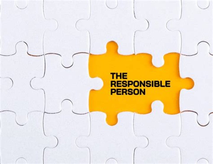 Which IT job best describes an individual who is responsible for the organization and appearance of a website?