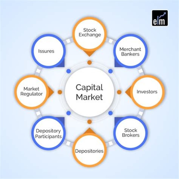 Which of the following are capital market securities?