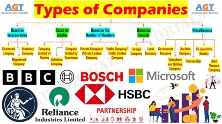Which of the following are reasons why businesses organize as corporations?