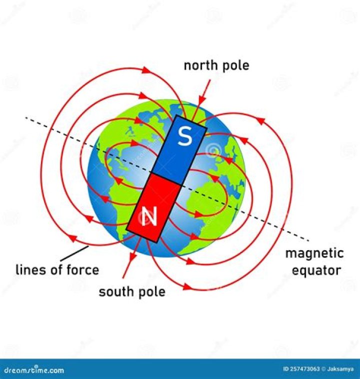 Which of the terrestrial worlds has the strongest magnetic fields?