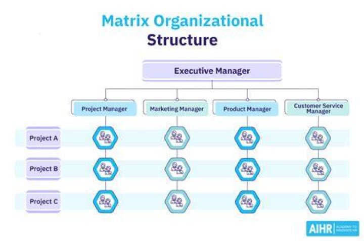 Which organizations use matrix structure?