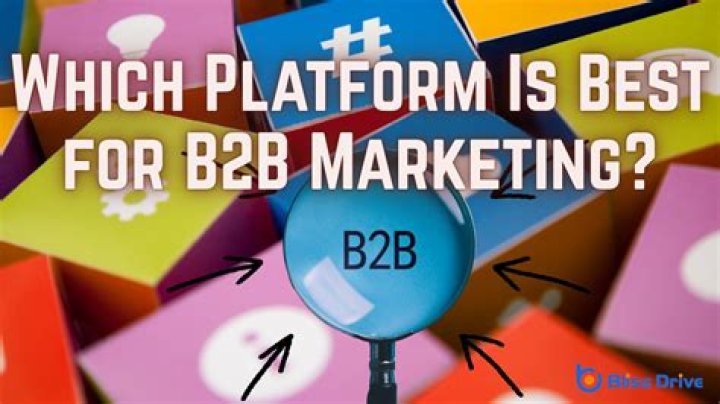 Which platform is best for B2B?