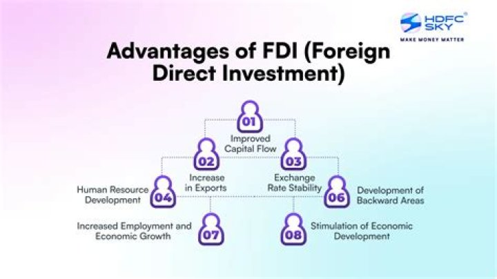 Which role does foreign direct investment FDI play in international business?