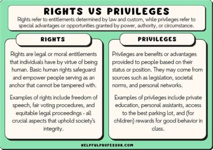 Which type of business organization has the respective rights and privileges of a legal person quizlet?