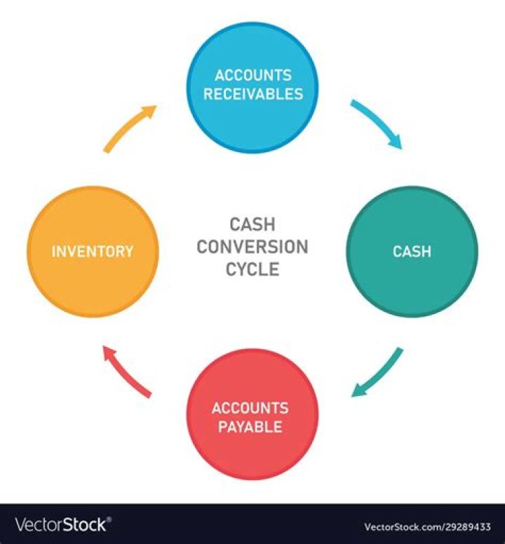 Who are the participants in the cycle of money?