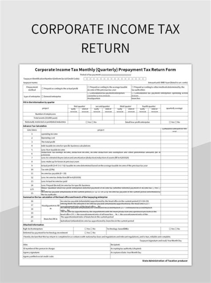 Who can file company tax return?