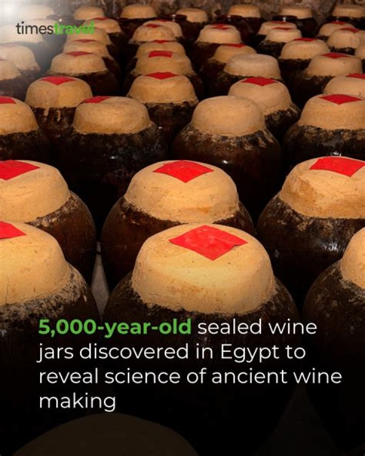Who discovered wine?