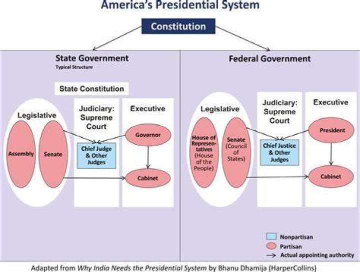 Who elects the chief executive in a presidential system?