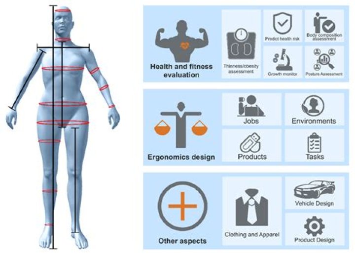 Who invented the anthropometry?
