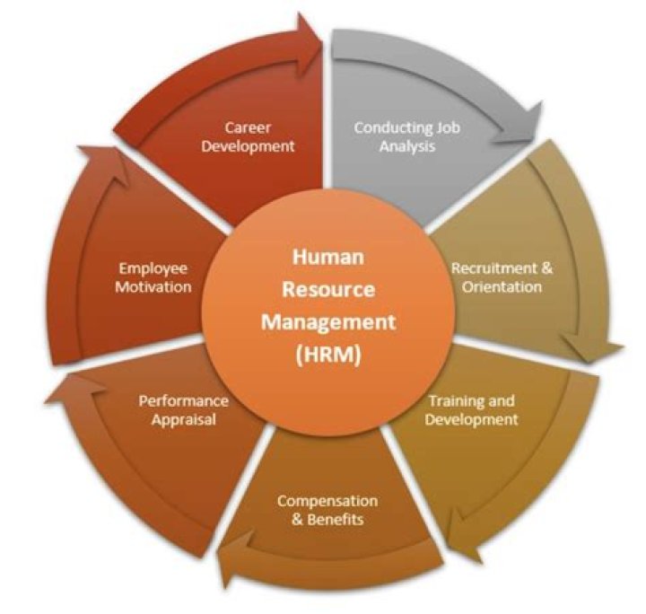 Who is the author of human resource management?