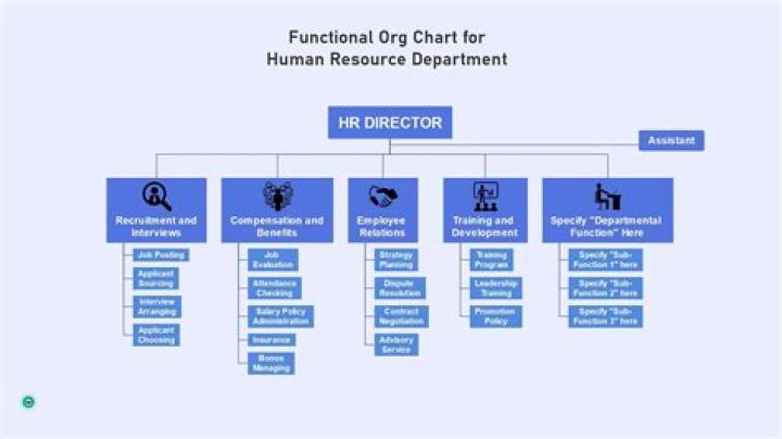 Who is the head of HR in a company?