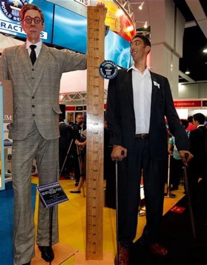 Who is the highest person at Walmart?