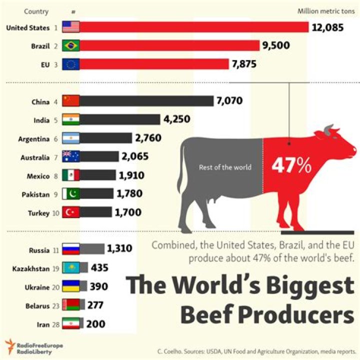 Who is the largest producer of beef?
