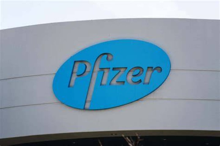 Who is the majority owner of Pfizer Corporation?