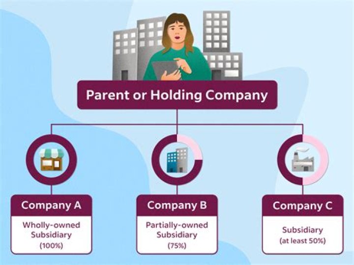 Who is the owner of a subsidiary company?