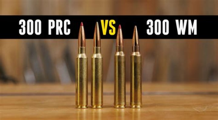 Who is Weatherby owned by?