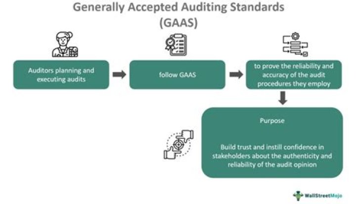 WHO Issues US generally accepted auditing standards?