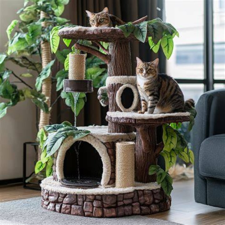 Who makes Whisker City products?