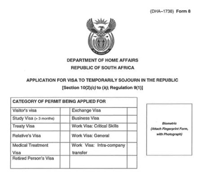 Who owns VFS Global South Africa?