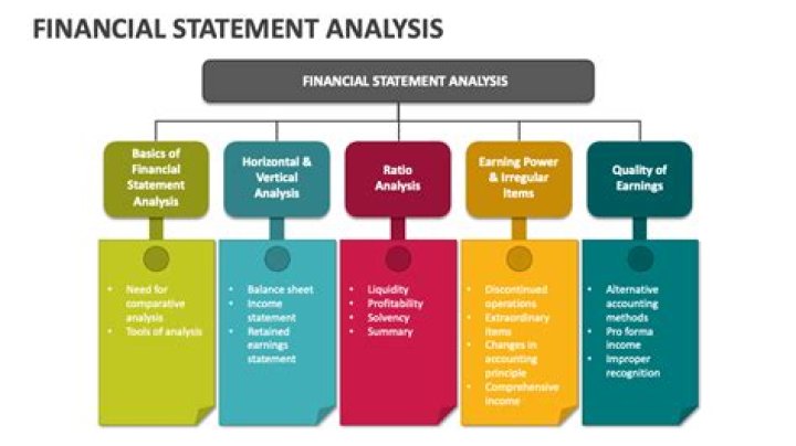 Who Performs financial statement analysis?