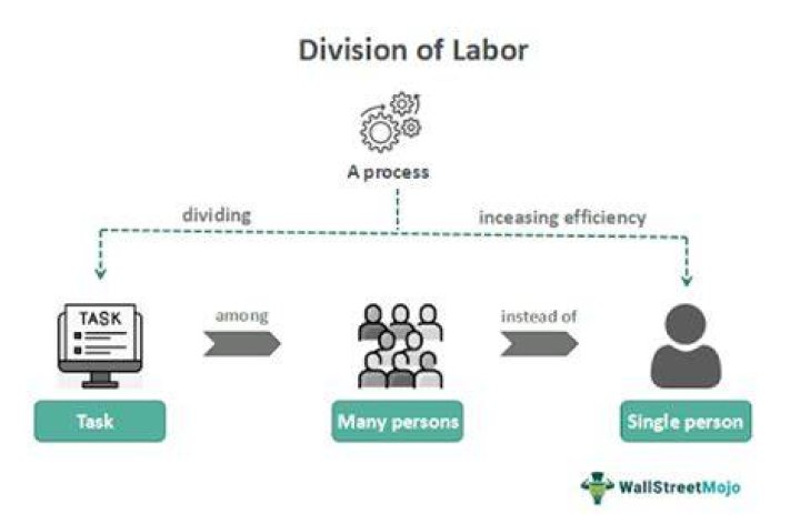 Who proposed the theory of division of labour?