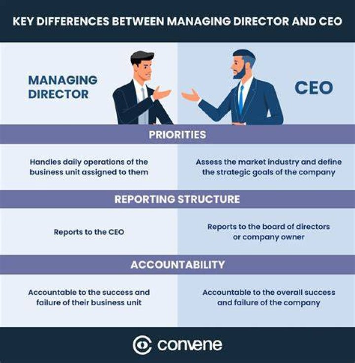 Who reports directly to the managing director?