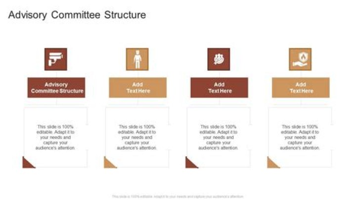 Who should chair an advisory committee?