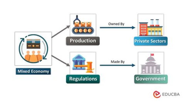 Why a government may nationalize an industry or business?