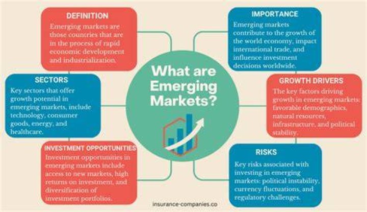 Why are emerging markets important to business?