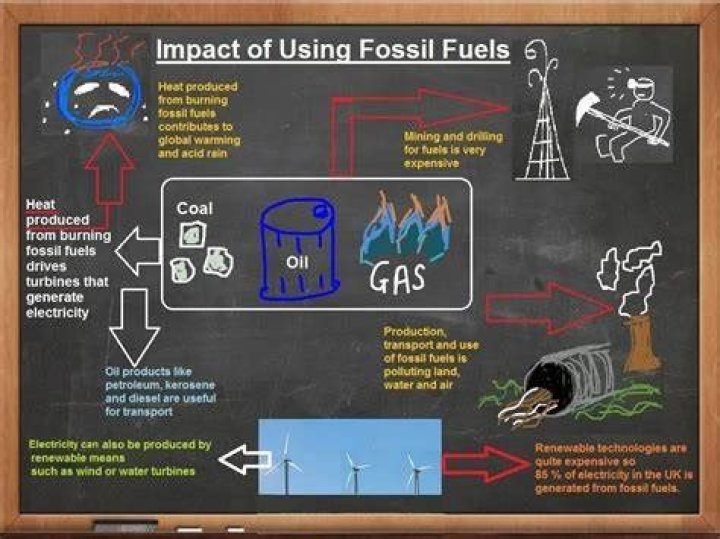 Why are so fossil fuels so important to the entire world?
