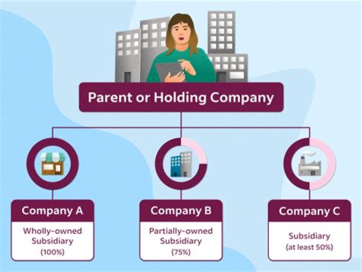 Why do companies establish subsidiaries?